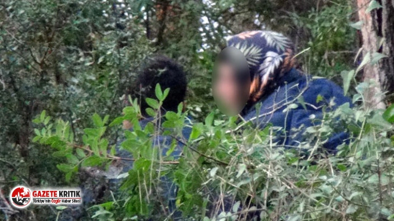 Sürekli aynısı oluyordu! Çalılıkların arasında böyle yakalandılar