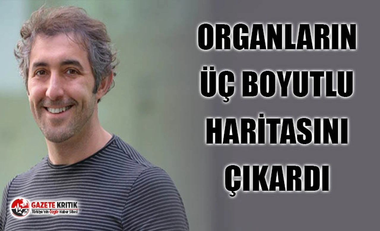 TÜRK BİLİM İNSANI, ORGANLARIN ÜÇ BOYUTLU HARİTASINI ÇIKARMAYI BAŞARDI