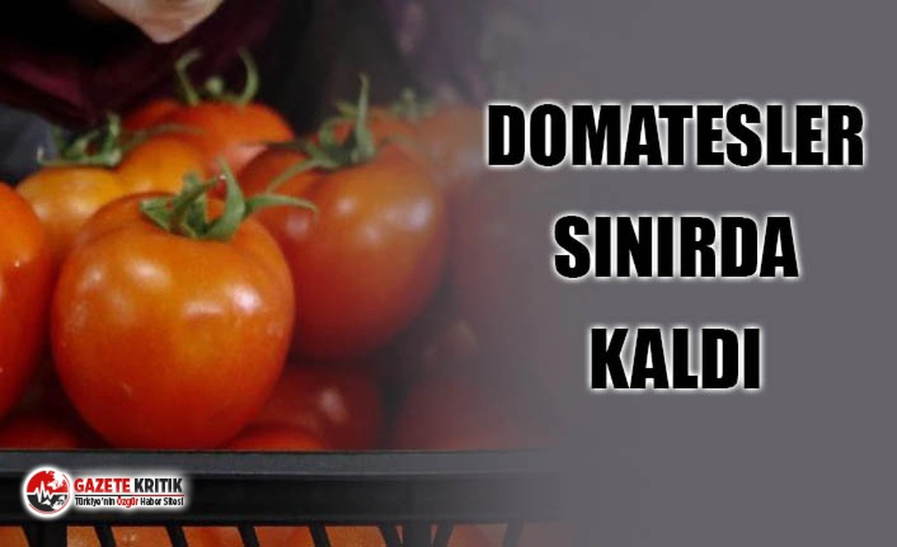 TÜRKİYE'DEN GİDEN DOMATES YÜKLÜ TIRLAR UKRAYNA-RUSYA SINIRINDA KALDI