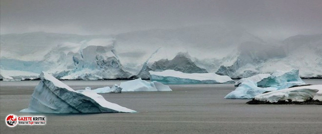 Antarktika'da 90 milyon yıl önce yağmur ormanı olduğuna dair kanıt bulundu