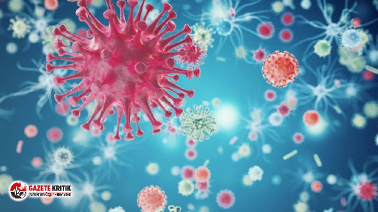 Bilim insanları tarafından 6 yeni koronavirüs türü keşfedildi