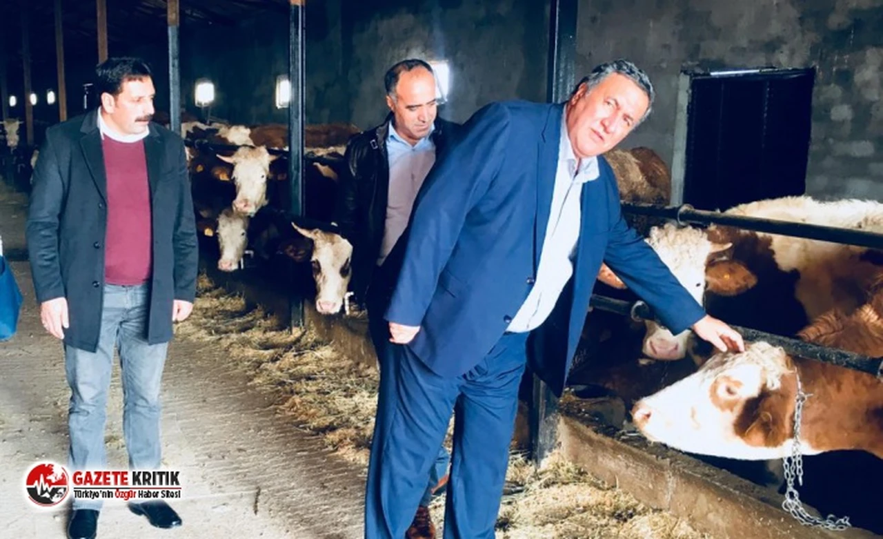 CHP'li Gürer: Hayvandan İnsana  hastalıklar bulaşması daha dikkatli takibi artık şarttır