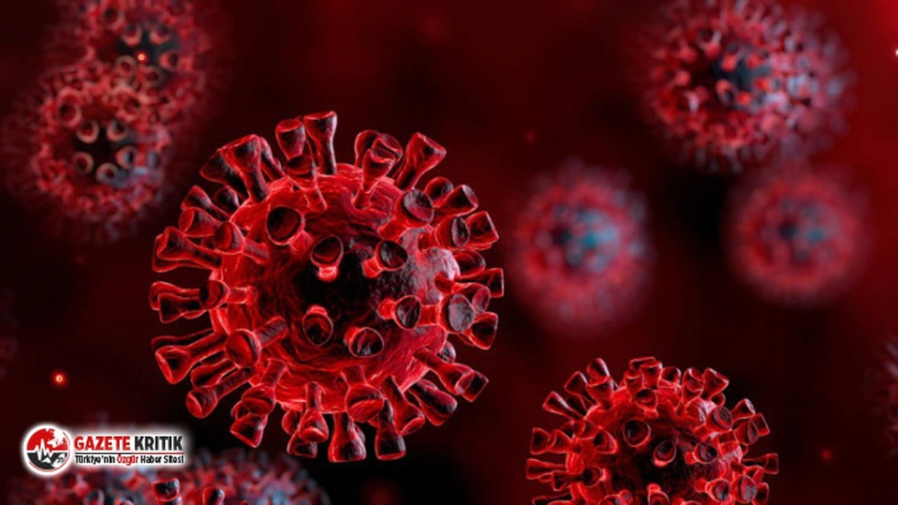 Rus Akademisyen:Koronavirüs yemek yerken ve doğum sırasında bulaşabilir