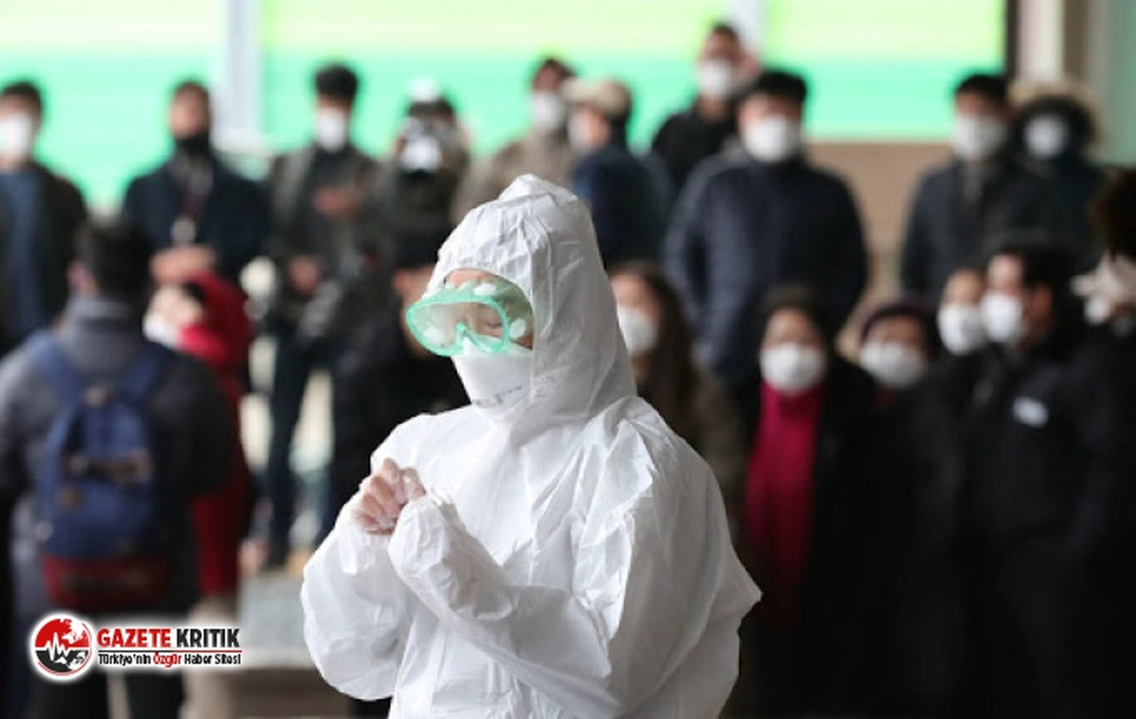 Rus Virolog:Koronavirüsün elbise ve yiyeceklerle eve taşınması olasılığı düşük