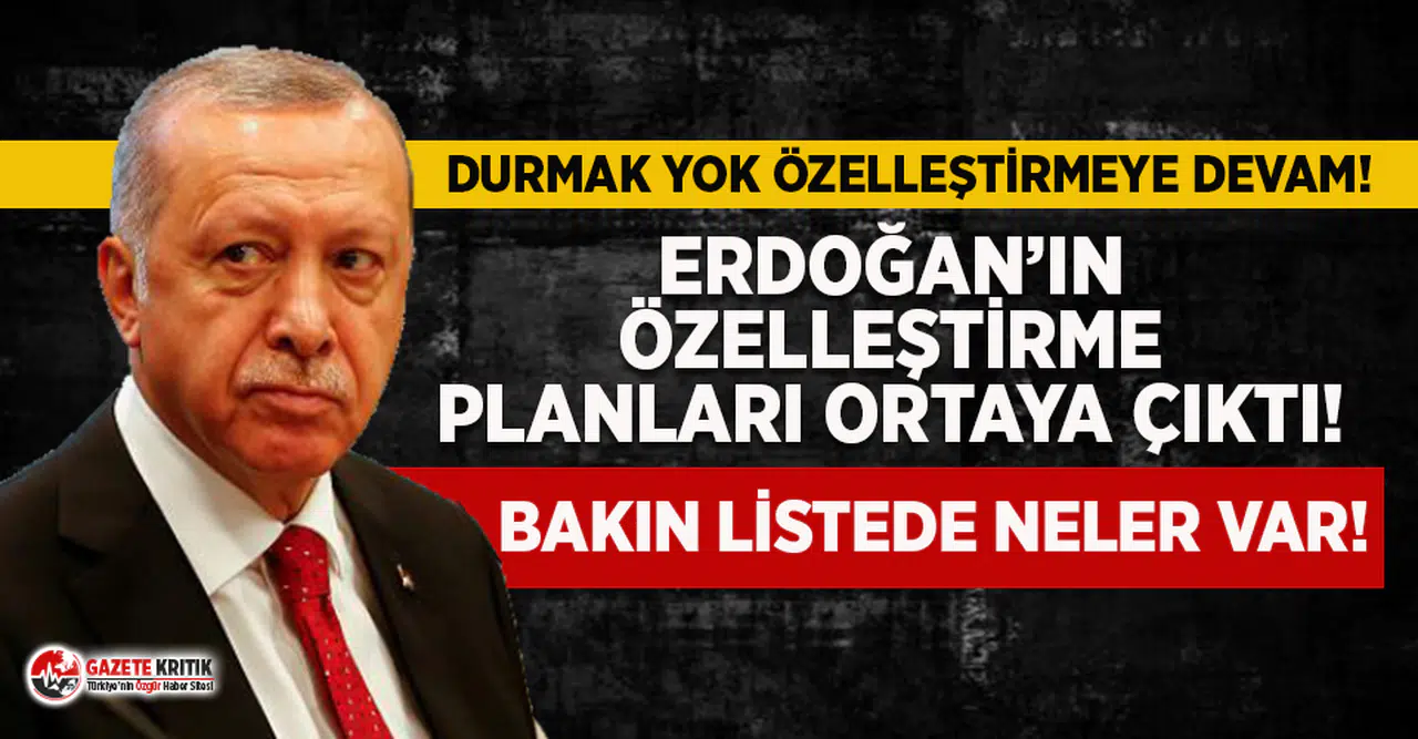 İşte Erdoğan'ın önündeki ''özelleştirme'' listesi