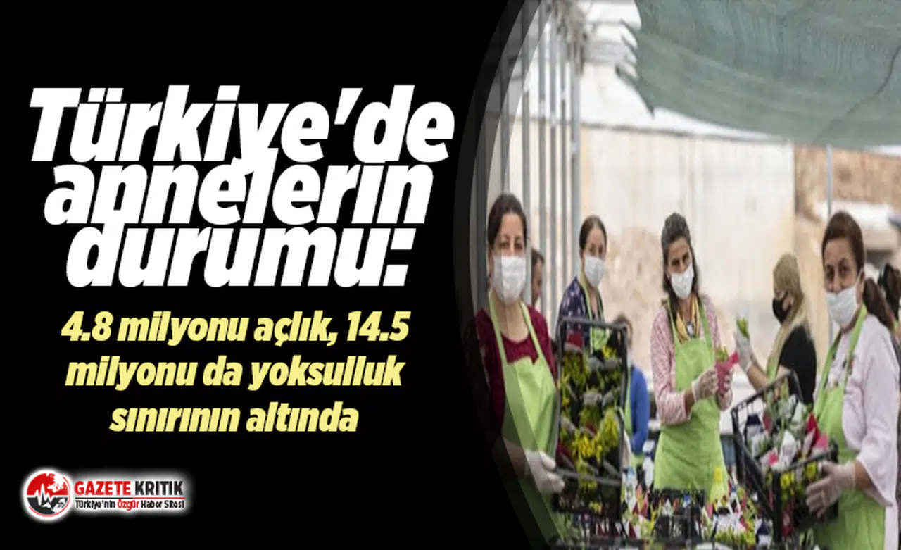Türkiye'de annelerin durumu:4.8 milyonu açlık, 14.5 milyonu da yoksulluk sınırının altında