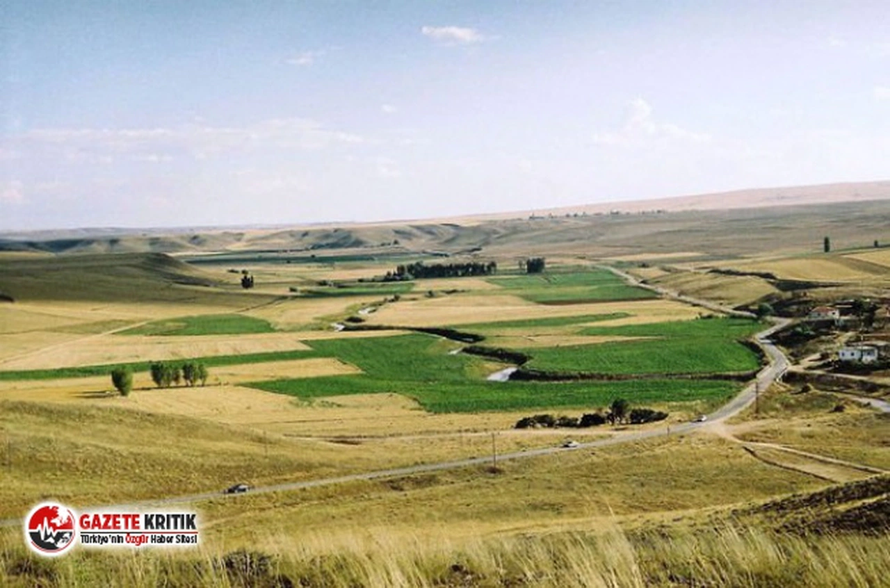 Devlet çiftçilere 7 ilde ücretsiz tarım arazisi tahsis edecek