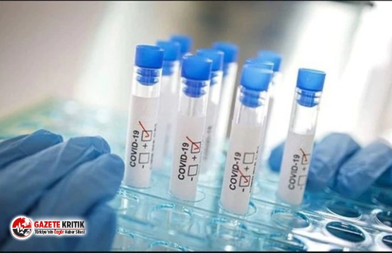 Koronavirüs hakkında çok konuşulacak araştırma: Tüm organlara saldırıyor