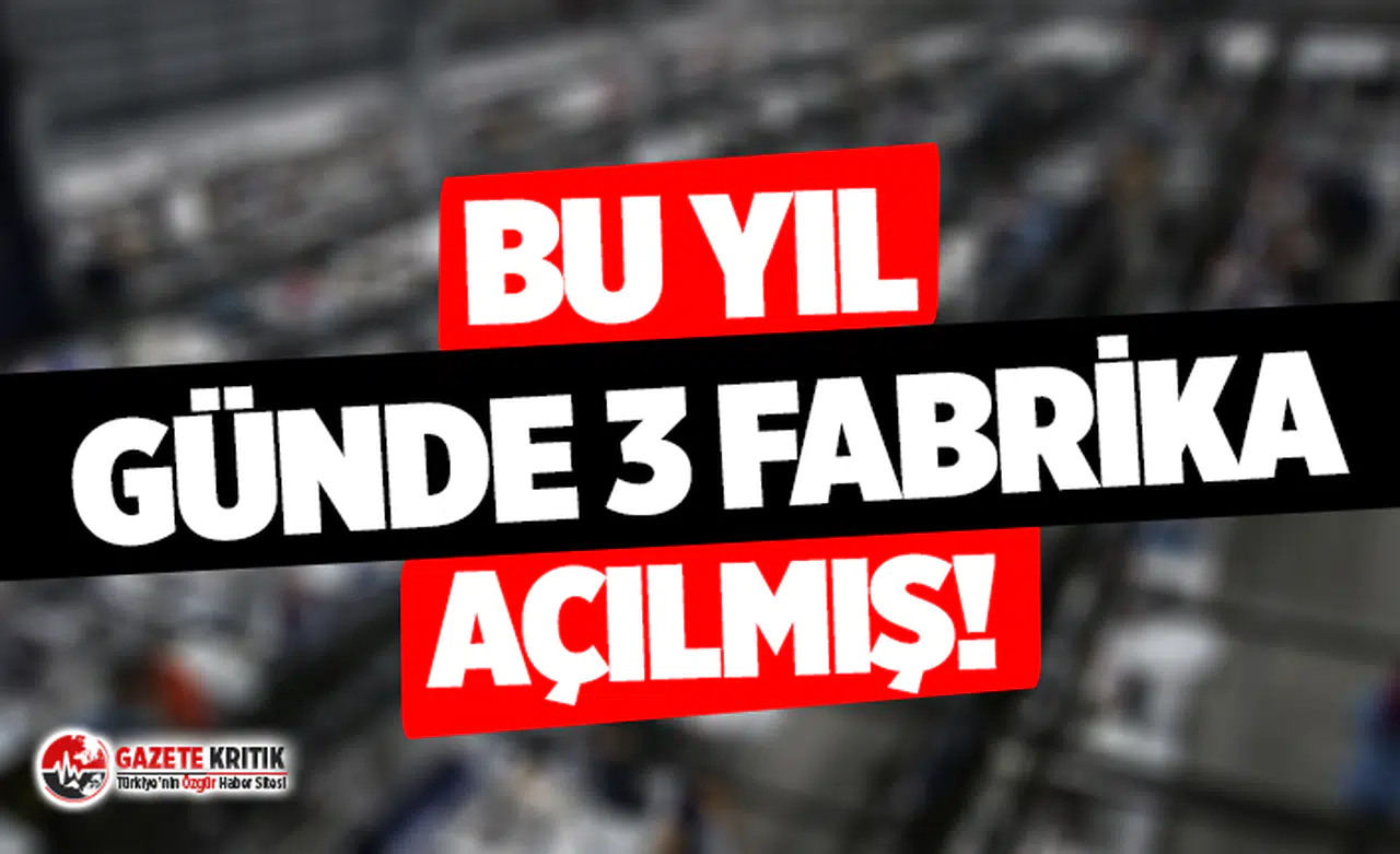 Ekonomide flaş tablo: Bu yıl günde 3 fabrika açılmış!