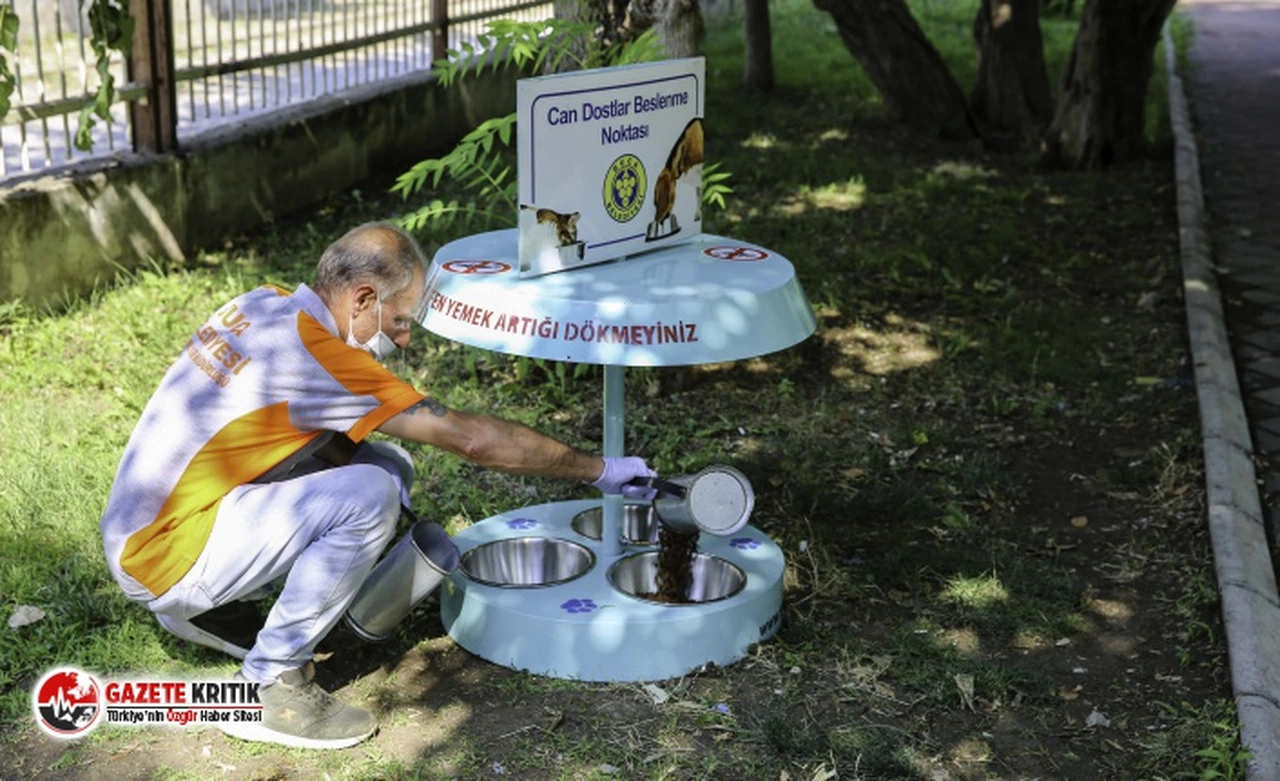 Buca’da 1 kap su kampanyasına “otomatik” destek