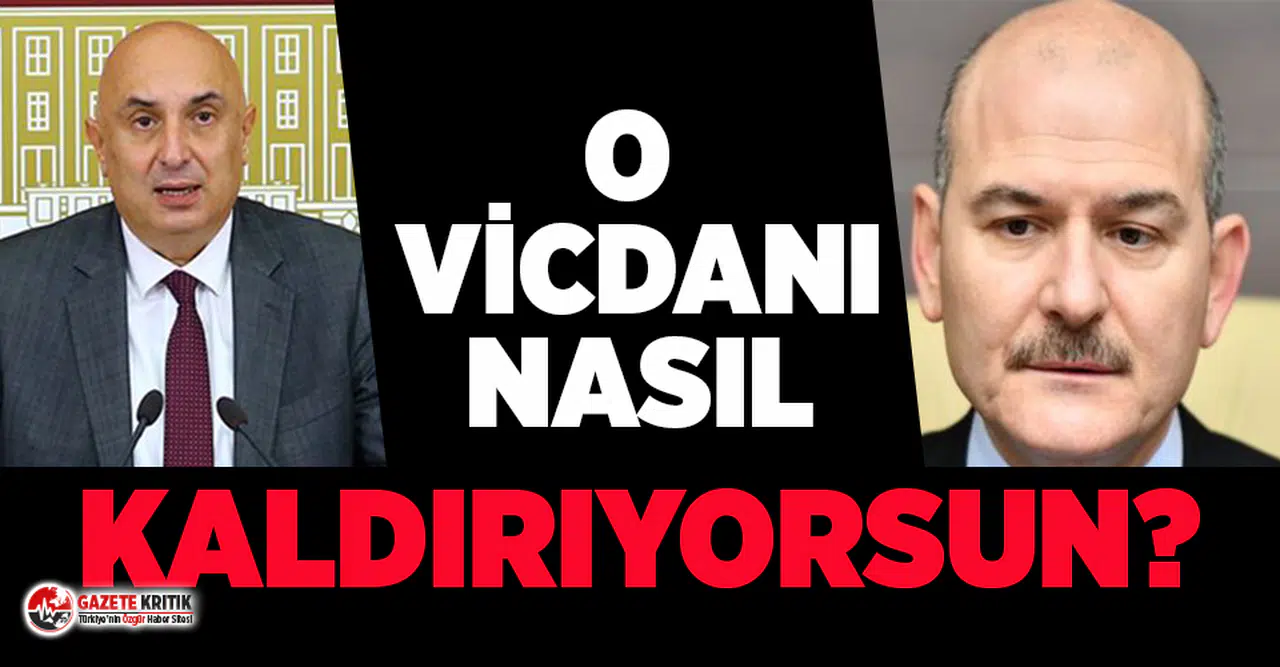 CHP Grup Başkanvekili Engin Özkoç'tan Soylu'ya Sakarya sorusu!