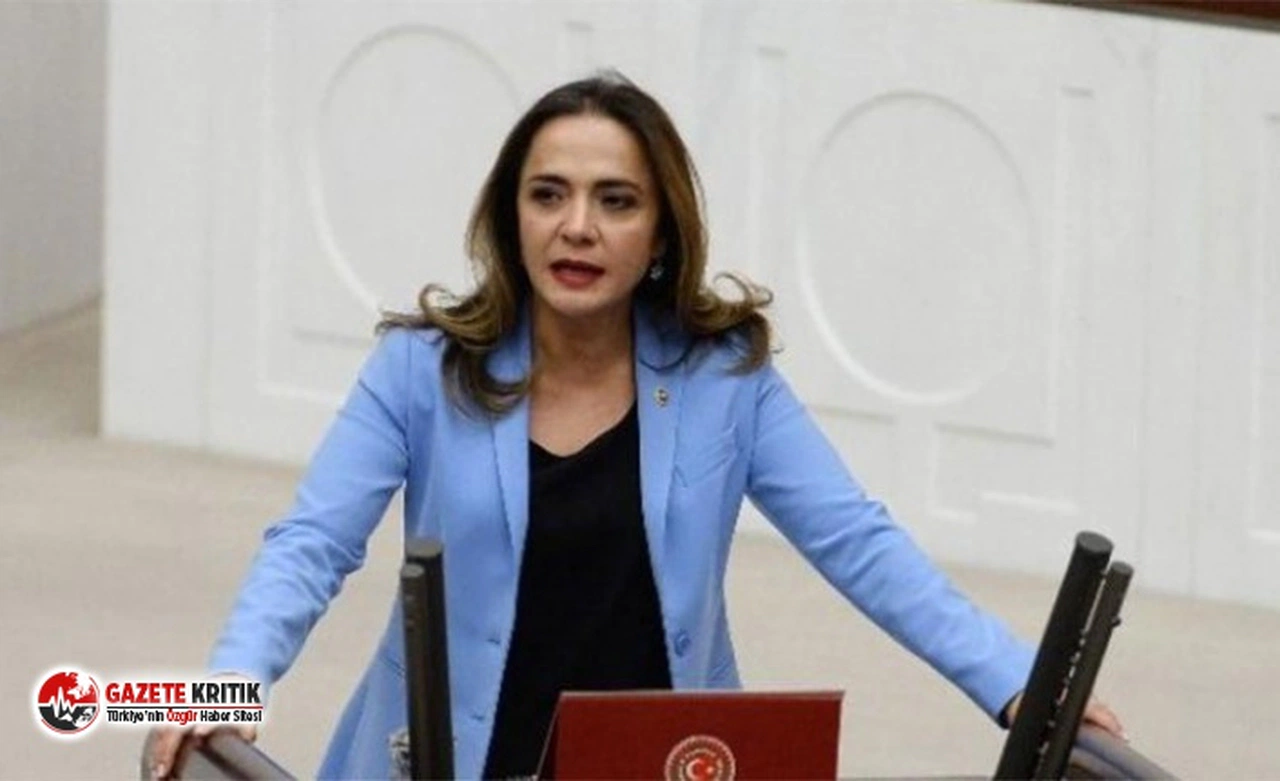 CHP'li İlgezdi: Türkiye’nin kanayan yarası suça sürüklenen çocuklar