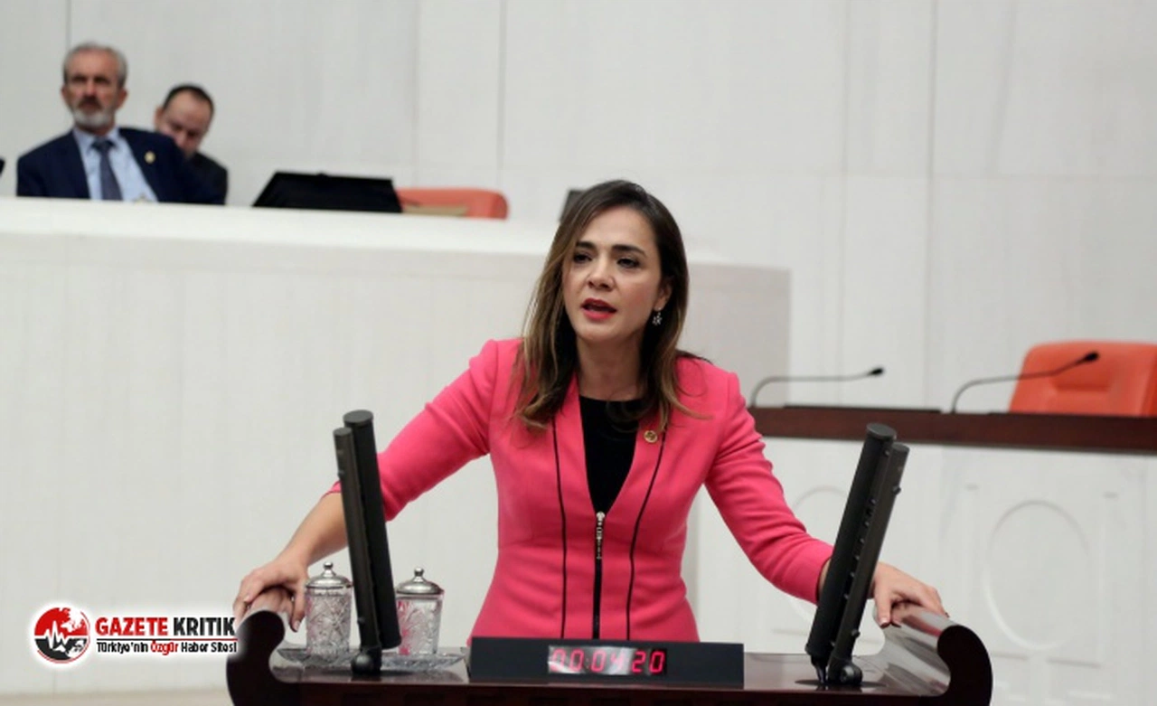 CHP'li İlgezdi: 'Yeni sistem hak ve özgürlüklerde sınıfta kaldı'