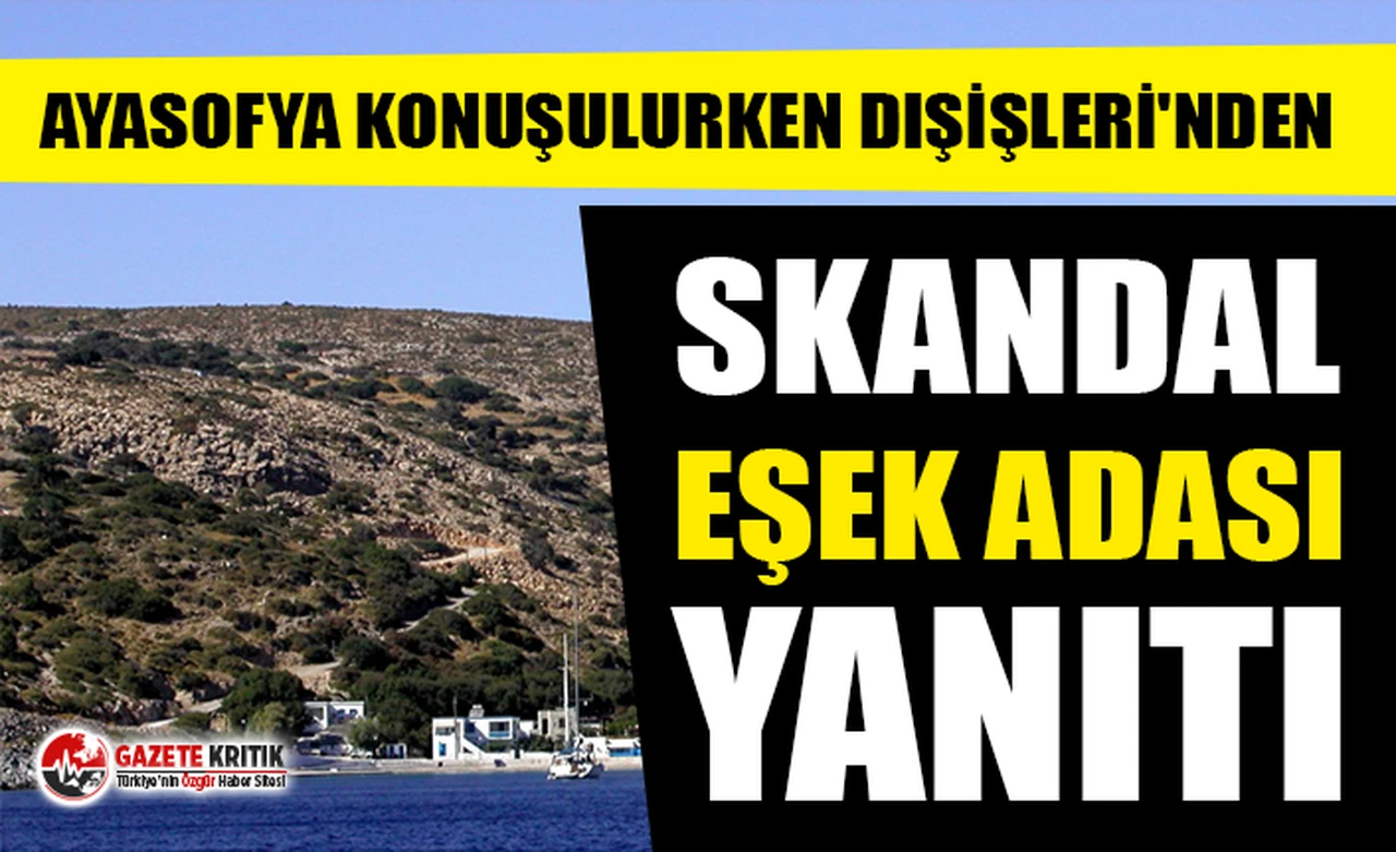Dışişleri'nden skandal Eşek Adası yanıtı!