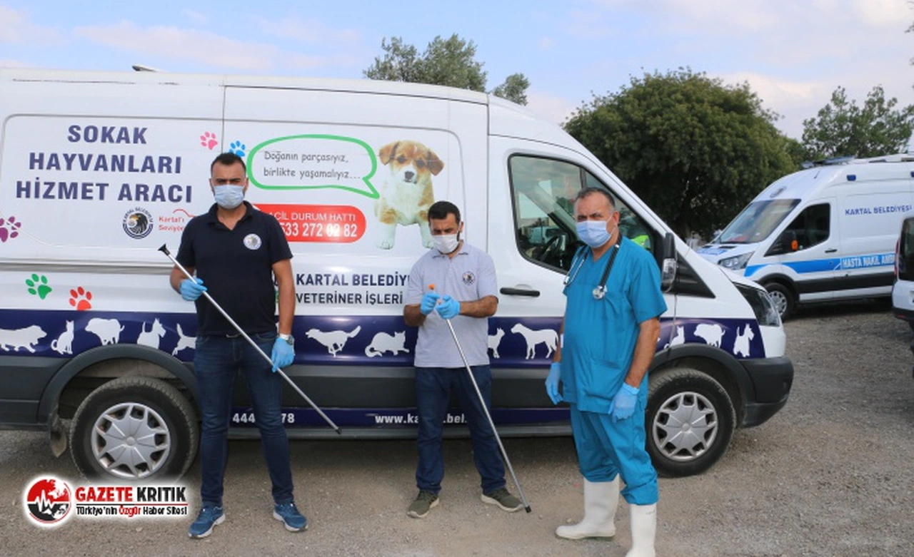 Kartal Belediyesi'nden Kurban Satış Alanına Sıkı Pandemi Denetimi