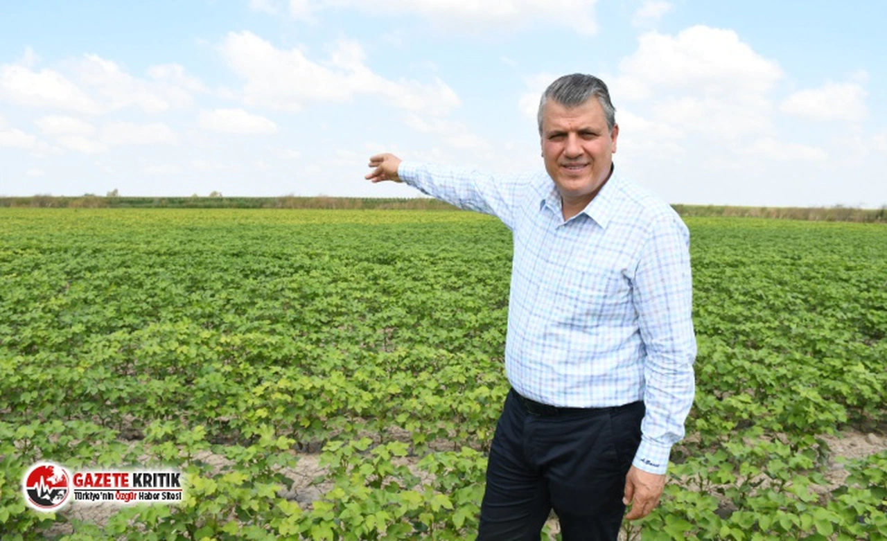 CHP'li Barut:Pamuk, soya ve mısırda destek ödemeleri peşin yapılsın