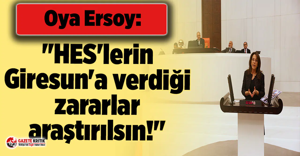 Oya Ersoy: "HES'lerin Giresun'a verdiği zararlar araştırılsın!"