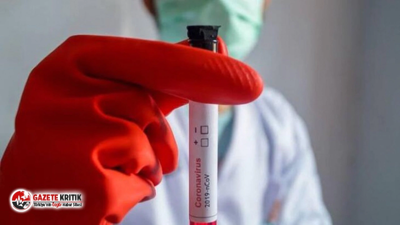 Bilim Kurulu Üyesi Prof. Dr. Yavuz: Tek örnekle grip ve koronavirüs tespit edilebilecek