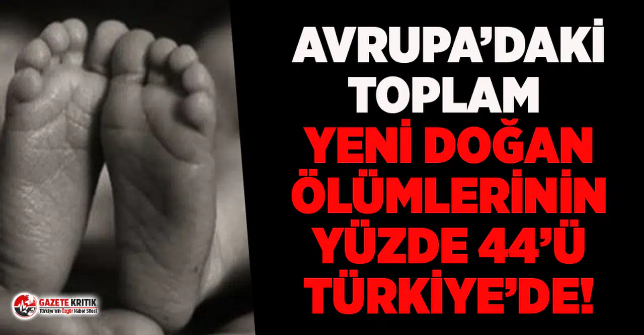 CHP Genel Başkan yardımcısı korkunç gerçeği açıkladı