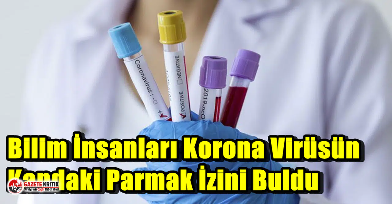 Bilim İnsanları Korona Virüsün Kandaki Parmak İzini Buldu