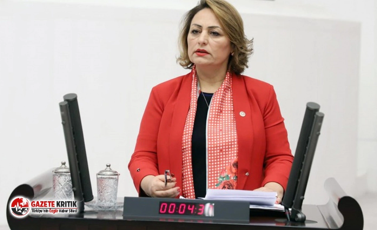 CHP'li Şevkin: Bakanlık, taşkın alanlarda kentsel dönüşüm yapıyor!”
