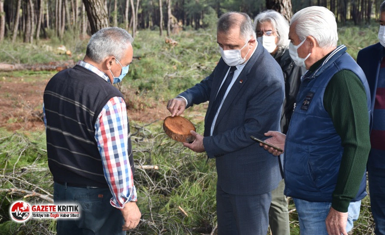 CHP'li Nusret Bayar: Düzlerçamı'nda doğa katlediliyor