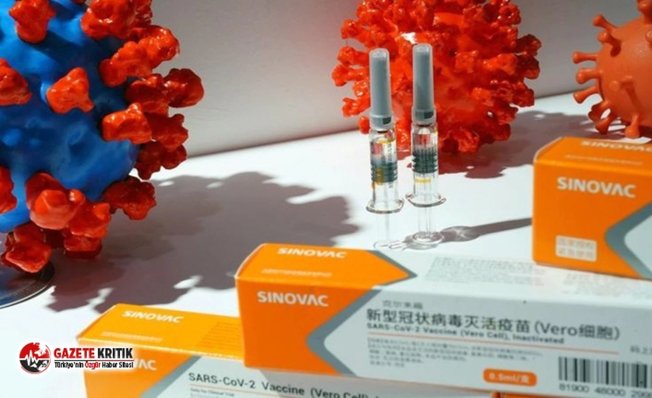 Çin Aşısı Sinovac'ın aşıları hızlı onaylatmak için rüşvet verdiği ortaya çıktı!