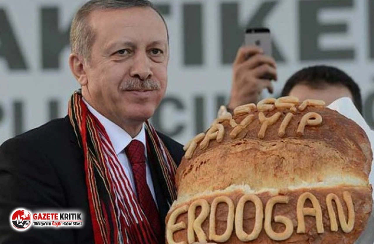 Ekmek' temalı millet bahçesi geliyor: 11.7 milyona mal olacak