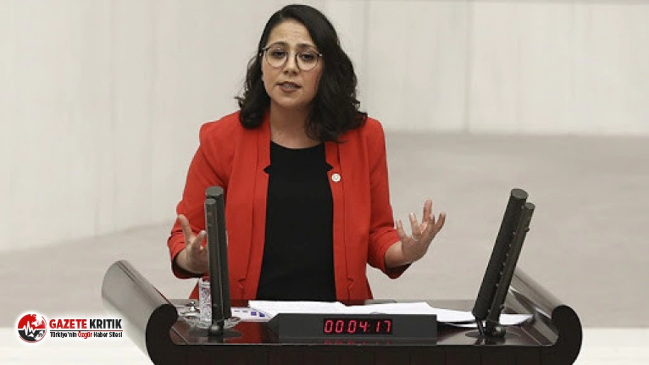 CHP'li Kadıgil: Kadınların çağrısına kulak verin