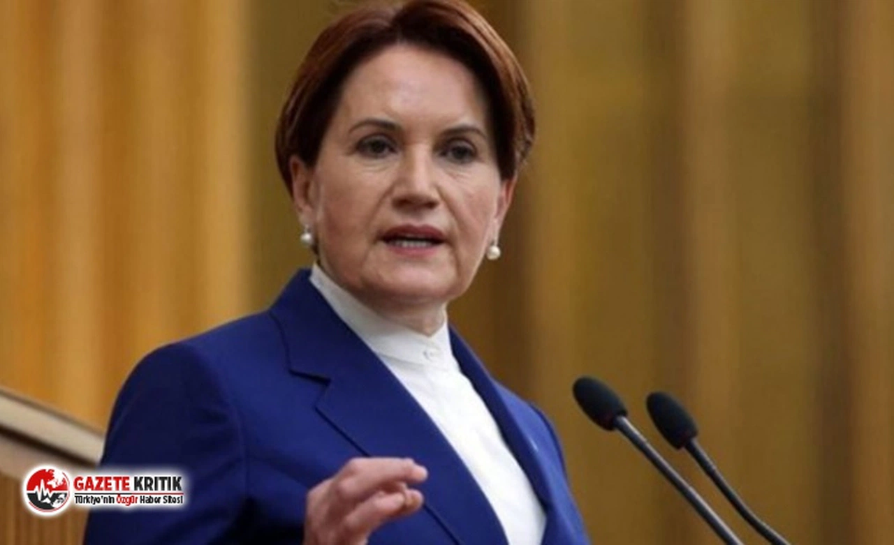 Meral Akşener erken seçim için tarih verdi