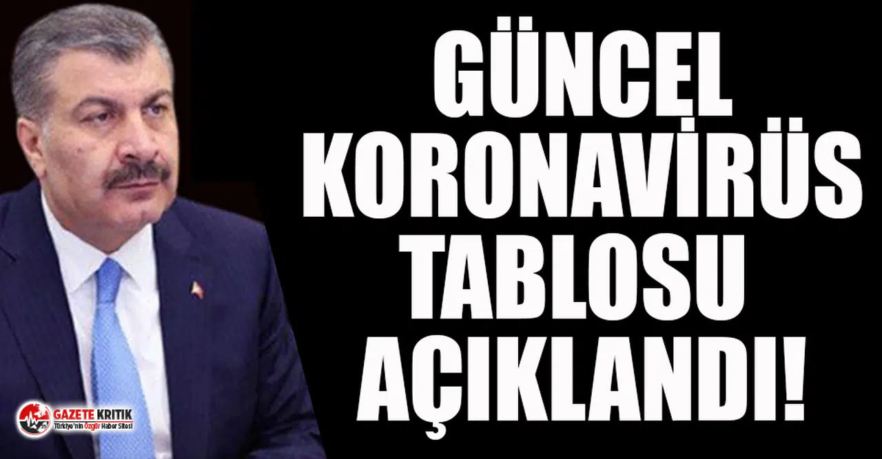 Türkiye'de koronavirüsten 176 kişi daha hayatını kaybetti! 9 bin 138 yeni vaka var