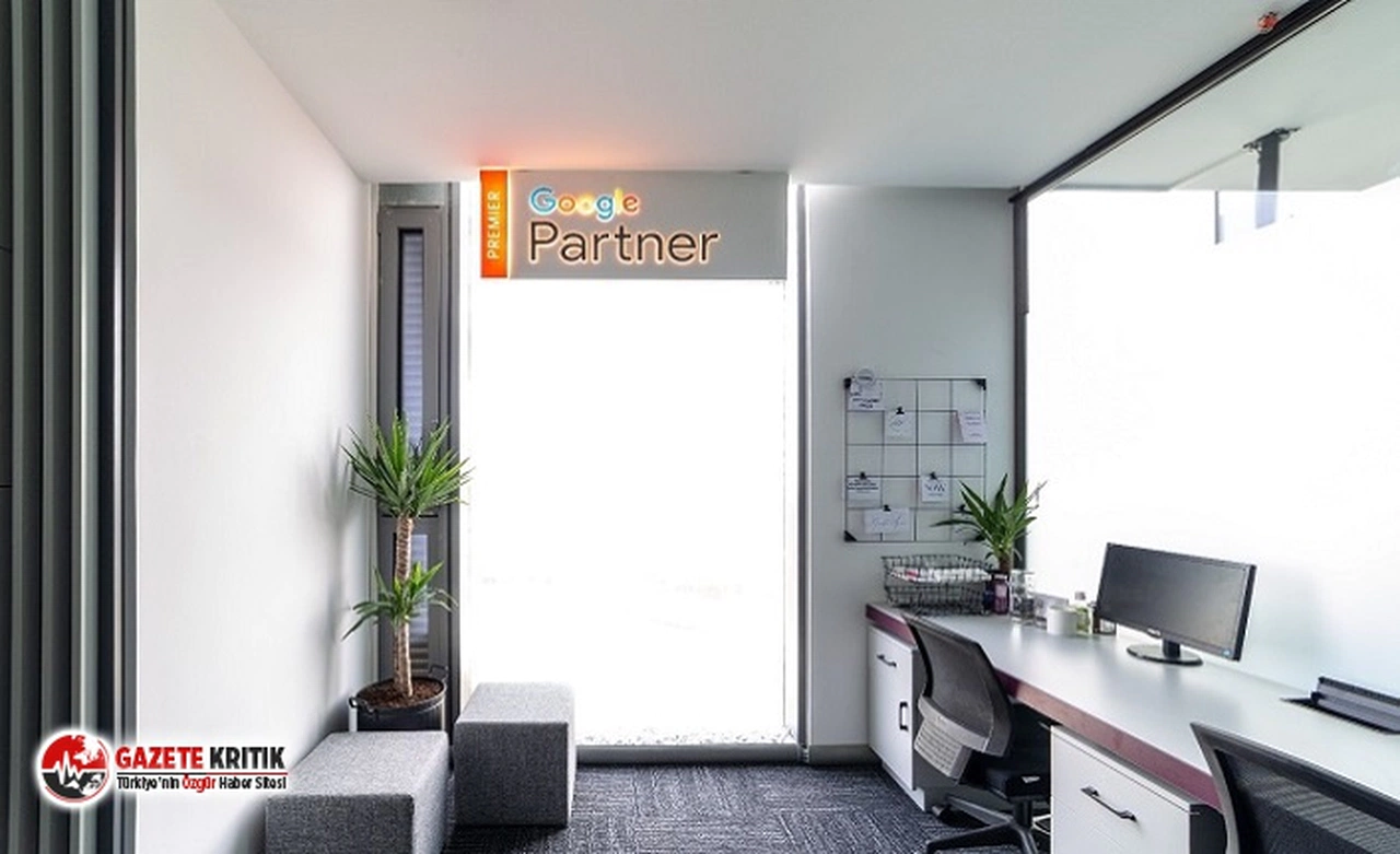 Crabs Media: Profesyonel Web Tasarım Nedir?