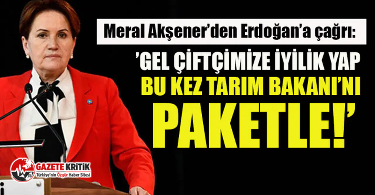 Akşener'den Erdoğan'a: Bugüne kadar açıkladığın en iyi ve en etkili paket, damadını paketlemendi