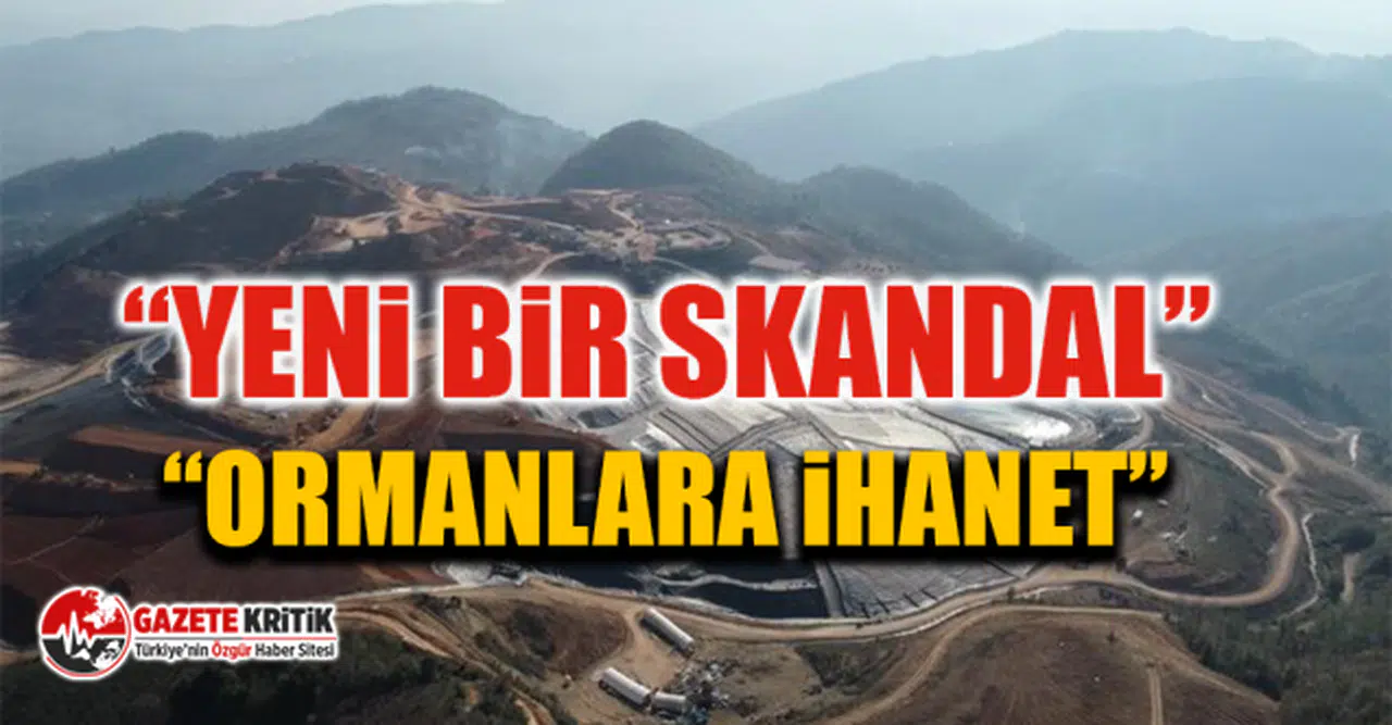 CHP’li Torun’dan “Fatsa” tepkisi!