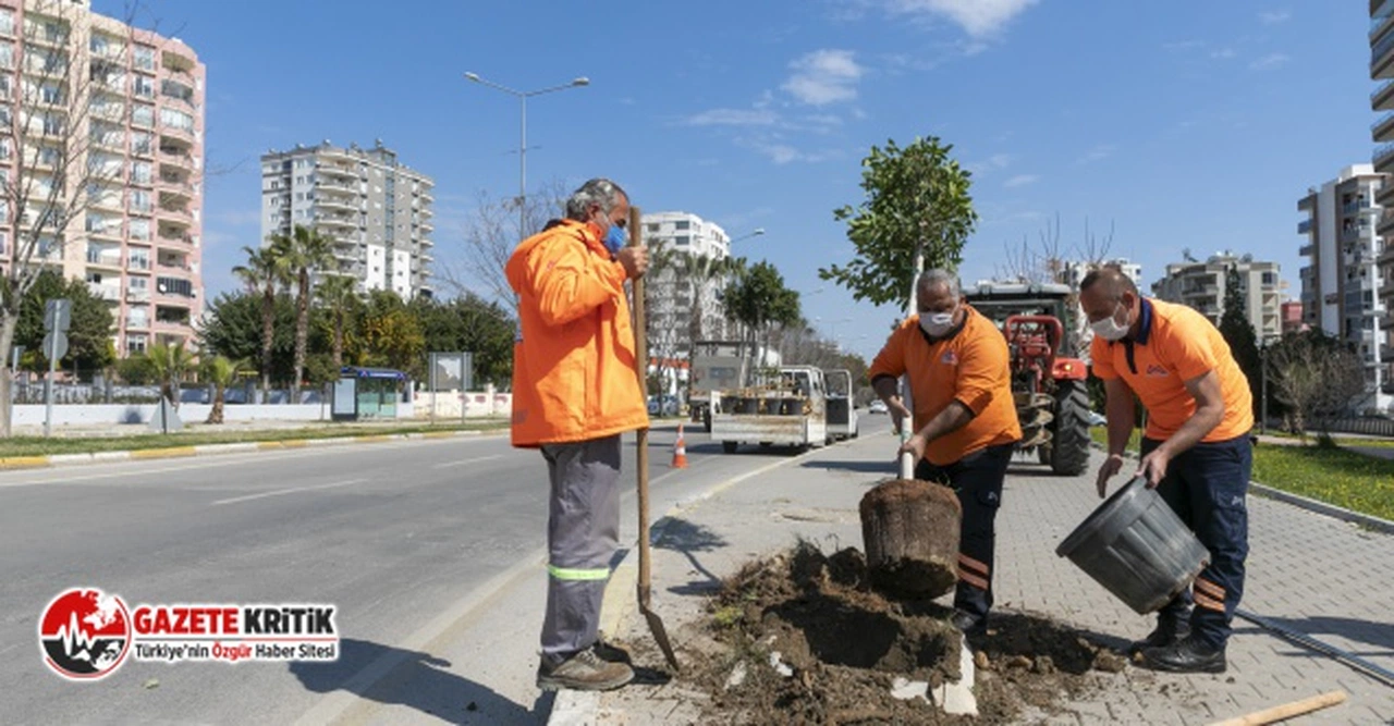 Mersin Büyükşehir, Kaldırımları Hem Yeniliyor Hem Bitkilendiriyor