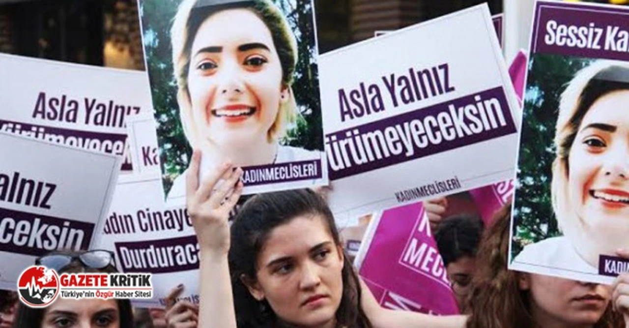 Yargıtay'dan Şule Çet davası için önemli karar