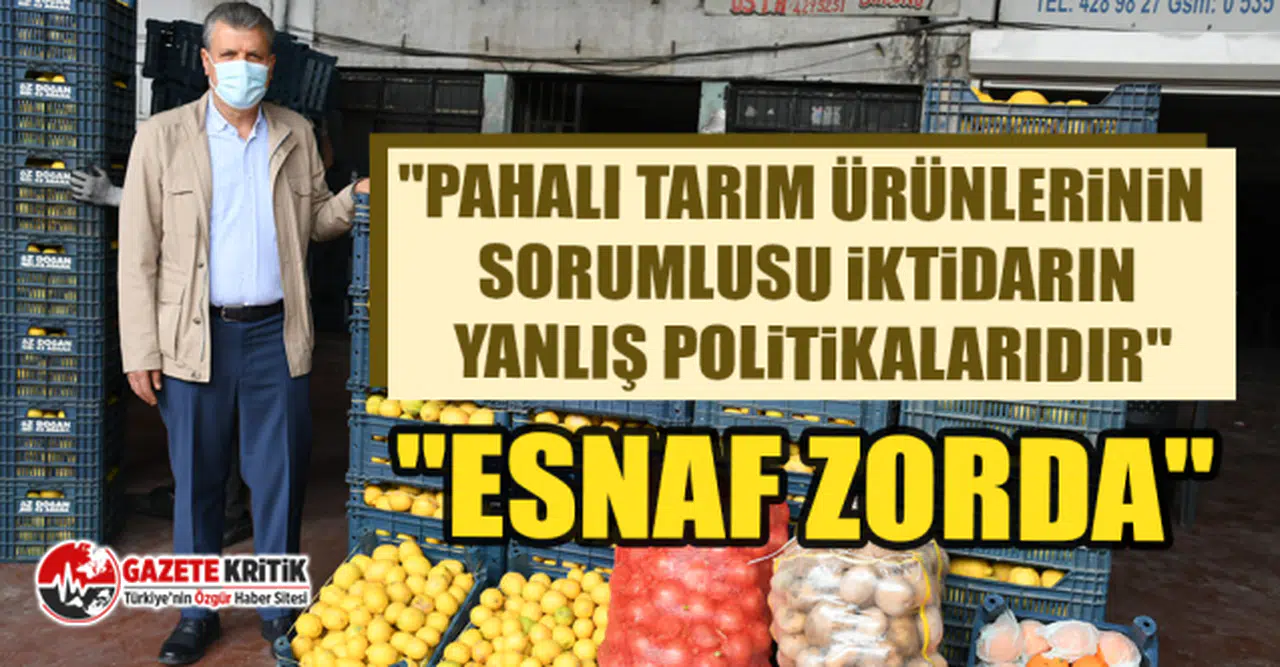 CHP'li Ayhan Barut, meyve-sebze halinde incelemelerde bulundu, sorunları dinledi