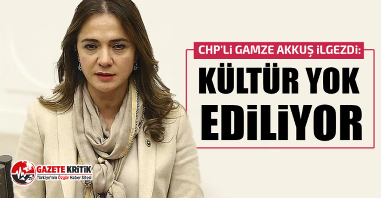 CHP'li Gamze Akkuş İlgezdi: Kültür yok ediliyor