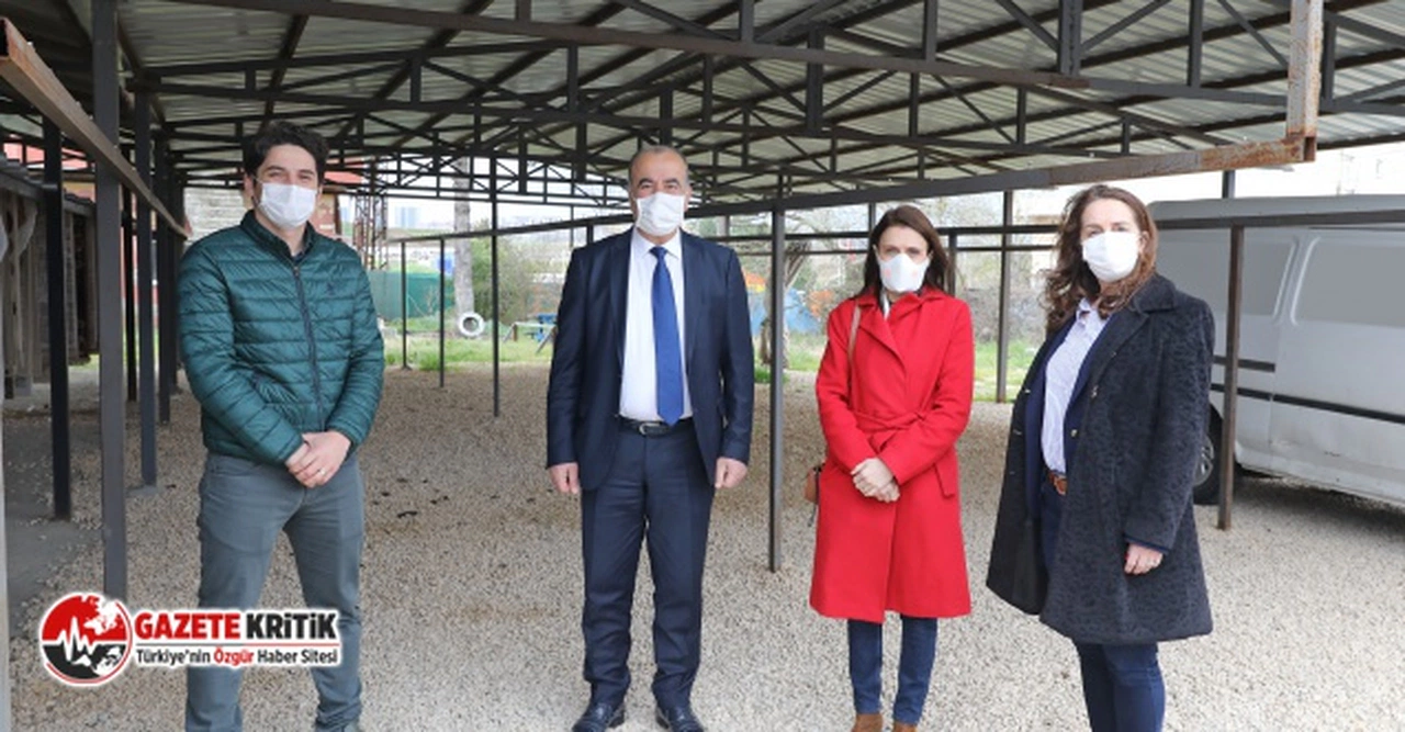 Mudanya’ya Sokak Hayvanları Rehabilitasyon Merkezi Ve Barınak