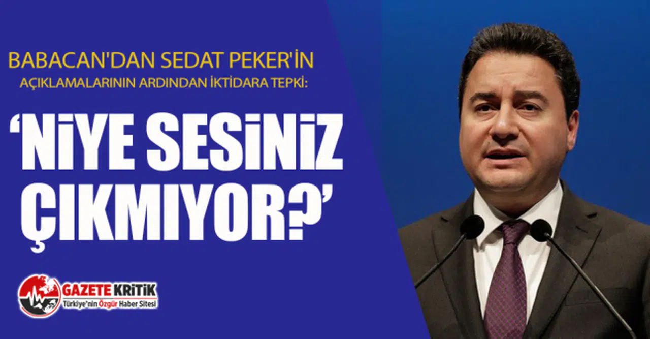 Babacan'dan Sedat Peker'in 7. videosunun ardından iktidara tepki: Daha ne olması gerekiyor?