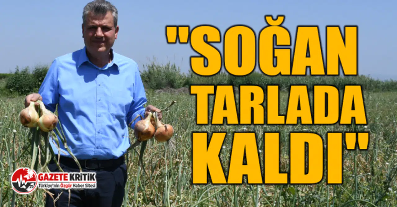 CHP'li Ayhan Barut, Maliyetini bile çıkaramayan soğan üreticileriyle tarlada buluştu
