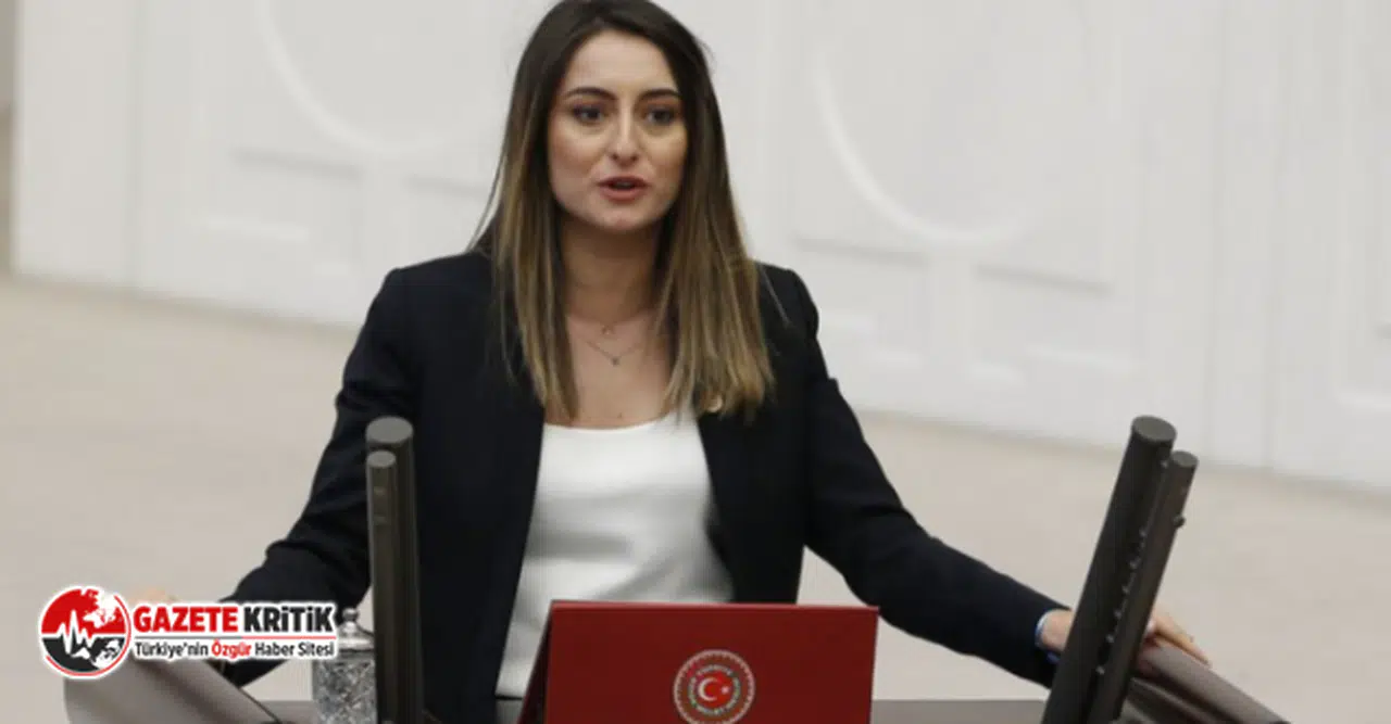 CHP'li  Aysu Bankoğlu, İçişleri Bakanı Süleyman Soylu’ya Yeldana Kaharman’ı Sordu