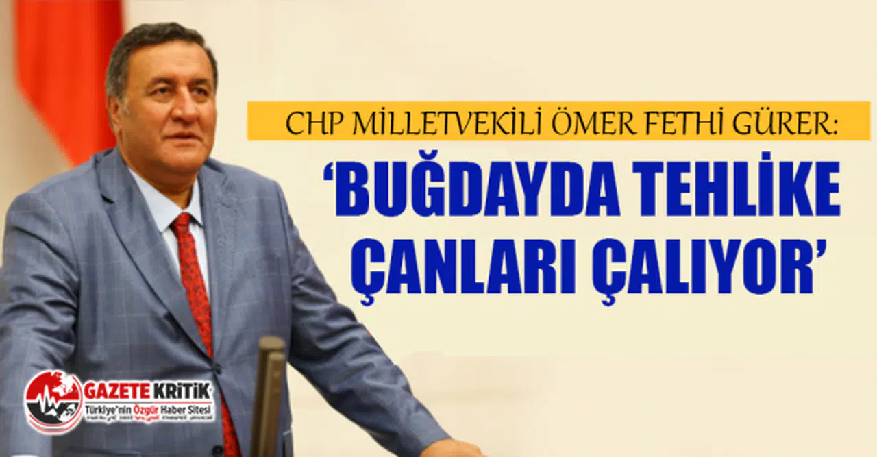 CHP'li Gürer: “İçeride kuraklık ve dışarıda artan fiyatlar buğdayda sorun yaratabilir”