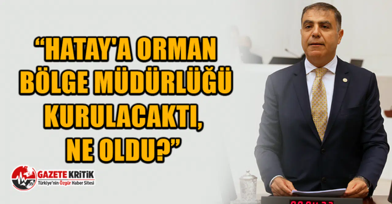 CHP'li Mehmet Güzelmansur: Hatay'a orman bölge müdürlüğü kurulacaktı, ne oldu?