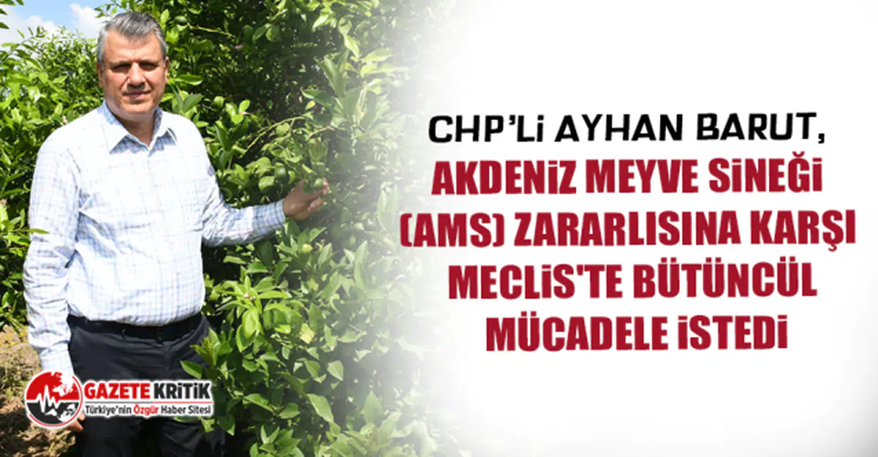 CHP'li Ayhan Barut: "AMS zararlısına karşı harekete geçilmeli"