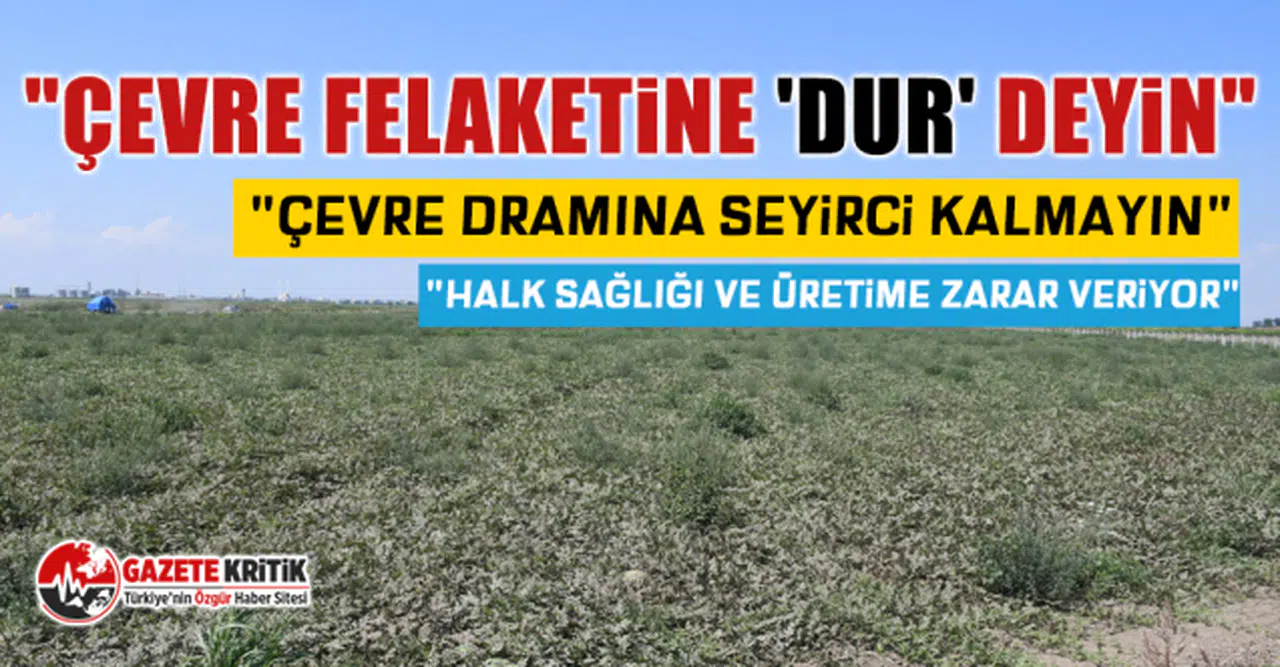 CHP'li Ayhan Barut: "Enerji tesisi tarımı ve halk sağlığını tehlikeye atıyor"