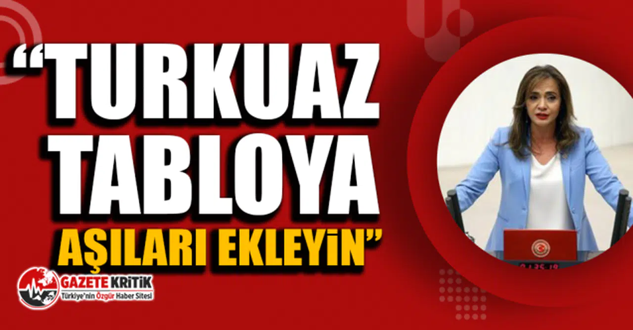 CHP'li Gamze Akkuş İlgezdi: Turkuaz tabloya aşıları ekleyin