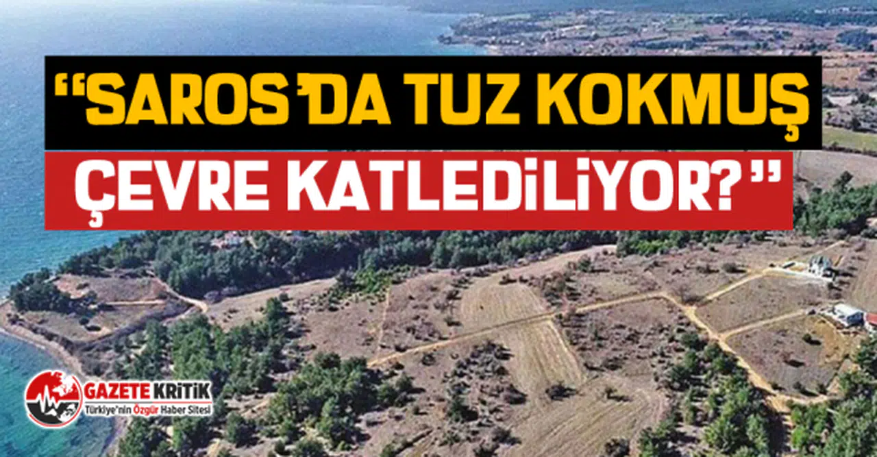 CHP'li Özgür Ceylan: Saros’da tuz kokmuş, çevre katlediliyor?