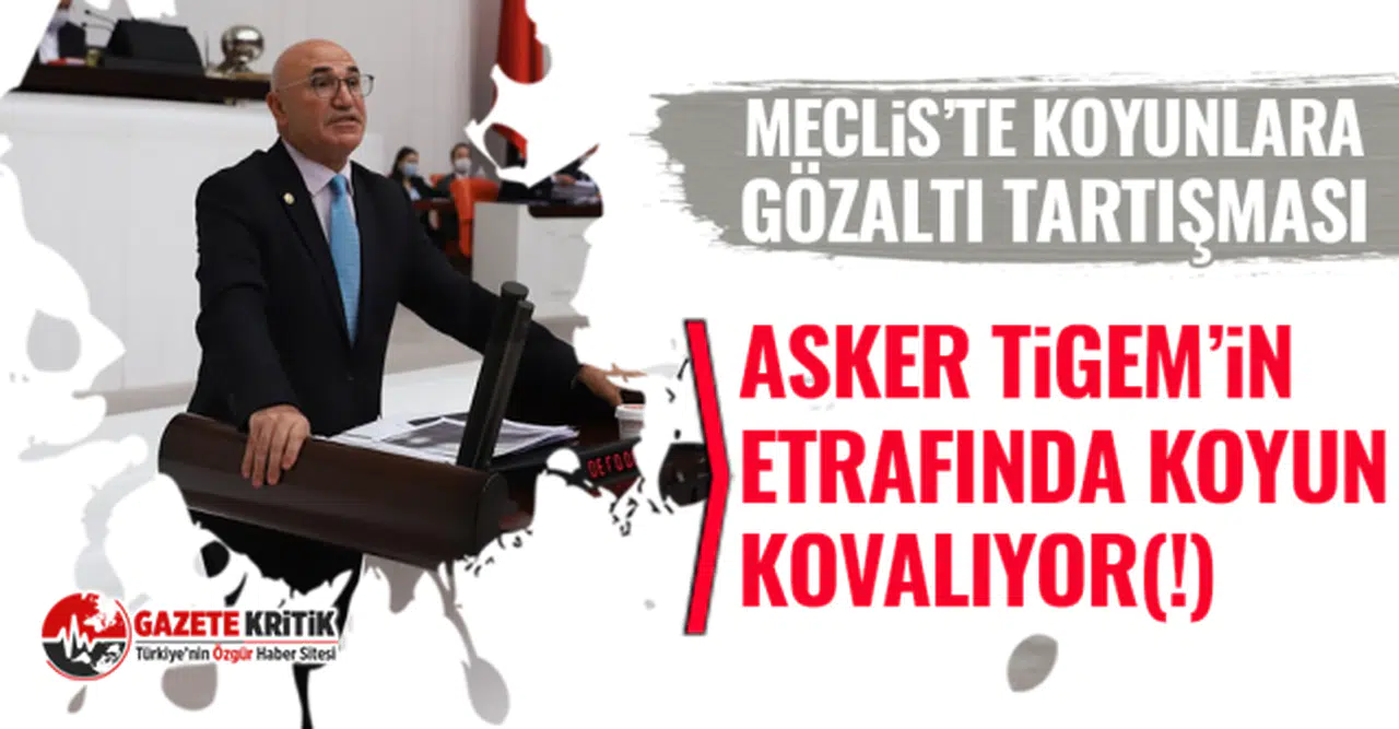 CHP’li Mahmut Tanal: Meclis’te Koyunlara Gözaltı Tartışması