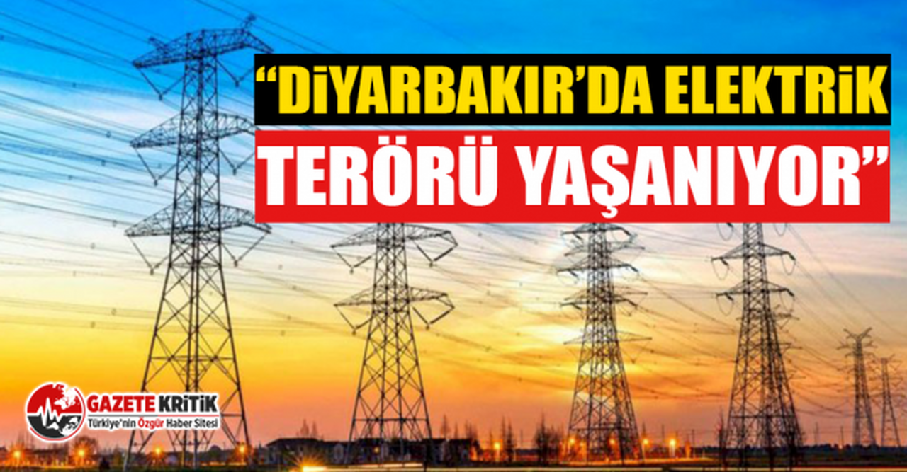 CHP'li Gamze Akkuş İlgezdi: Diyarbakır’da elektrik terörü yaşanıyor